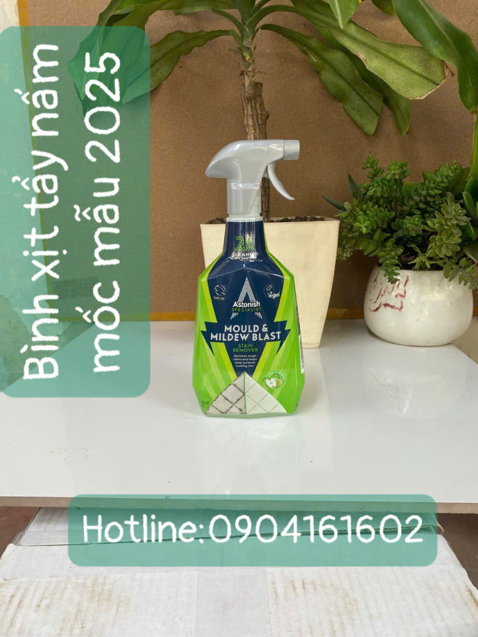 C1121 25 Bình Xịt Nấm Mốc 2025